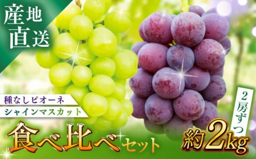 [セット][伊万里産]山和農園の種なしピオーネ&シャインマスカット約2kg(各2房ずつ)