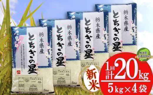 【栃木県共通返礼品】【先行予約】とちぎの星 20kg（5kg×4袋） | 米 こめ コメ kome 白米 精米 お米 とちぎのほし トチギノホシ ﾄﾁｷﾞﾉﾎｼ 粘り 弾力 冷めても美味しい 丼もの カレー 新米 栃木米 令和7年度米 令和7年度 2025年度米 2025年度 ブランド米 栃木県 特産品 送料無料 栃木県 下野市 しもつけ市