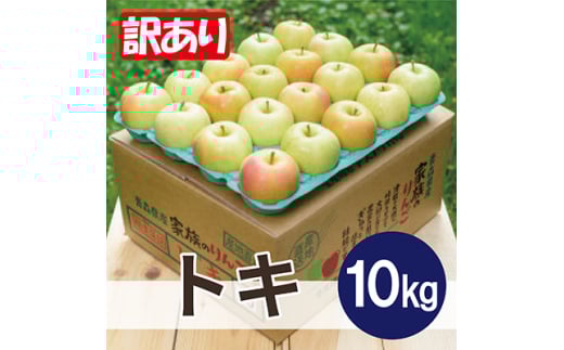＜2026年3月より順次発送＞平均糖度13度以上! トキ 約10kg 訳あり【1608108】 2059354 - 青森県青森市