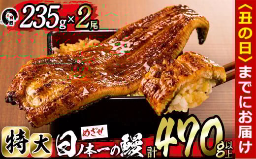 【丑の日までに配送】日ノ本一の鰻の蒲焼き＜特大＞2尾セット(計470g以上) b3-010-us