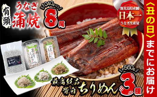 【丑の日までに配送】極うなぎ蒲焼130g以上×8尾(計1040g以上)+佃煮ちりめん130g+釜揚げちりめん110g×3個+ちりめん100g うなぎ 鰻 ウナギ 蒲焼 8尾 真空パック 鰻重 うな丼 ちりめん しらす ちりめんじゃこ e7-017-us