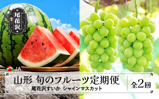 先行予約 全2回 フルーツ定期便  尾花沢すいか シャインマスカット 2025年産 令和7年産 JA ja-tkf2a-sm 2096188 - 山形県尾花沢市