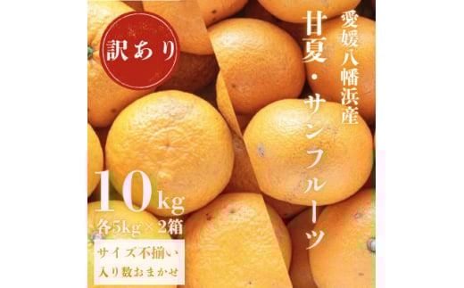 甘夏&サンフルーツ各5kg＜訳あり＞＜C20-19＞【1094577】 394097 - 愛媛県八幡浜市