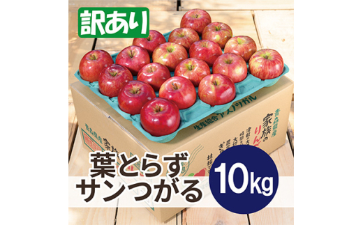 ＜2025年10月発送予定＞平均糖度12度以上! 葉とらずサンつがる 約10kg 訳あり【1607059】 2059314 - 青森県青森市
