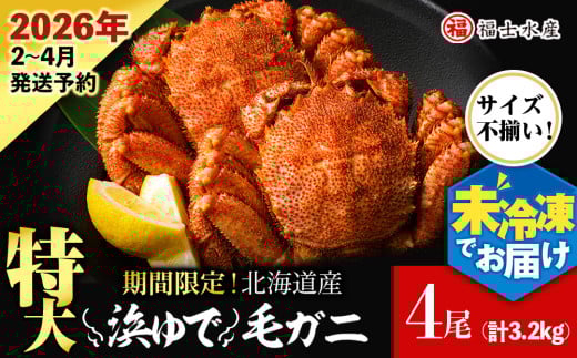 【2026年発送予約】チルドでお届け！ 浜茹で毛ガニ特大４尾（不揃い合計約3.2kg） 〈福士水産〉