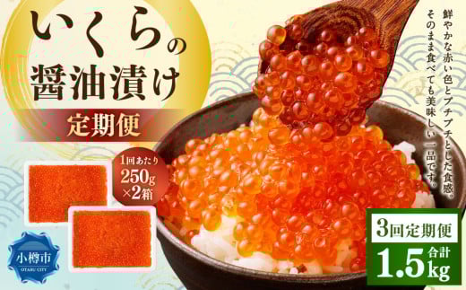 【3回定期便】いくらの醤油漬け 500g（250g×2） いくら イクラ 醤油漬け 冷凍 北海道 小樽市