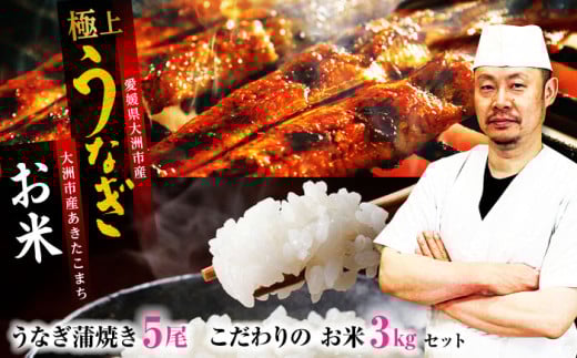 【お中元対象】「うなぎ蒲焼き 5尾」とこだわりの「お米 3kg」セット 愛媛県大洲市/有限会社 樽井旅館 [AGAH006]うなぎ ウナギ 鰻 手焼き うなぎ ウナギ 鰻 国産 うなぎ ウナギ 鰻 うなぎ蒲焼 鰻重 うな丼 土用の丑 鰻 ウナギ 788807 - 愛媛県大洲市