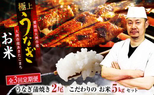 【全3回定期便】「うなぎ蒲焼き 2尾」とこだわりの「お米 5kg」セット 愛媛県大洲市/有限会社 樽井旅館 [AGAH008] うなぎ ウナギ 鰻 手焼き うなぎ ウナギ 鰻 国産 うなぎ ウナギ 鰻 うなぎ蒲焼 鰻重 うな丼 土用の丑 鰻 ウナギ 788806 - 愛媛県大洲市