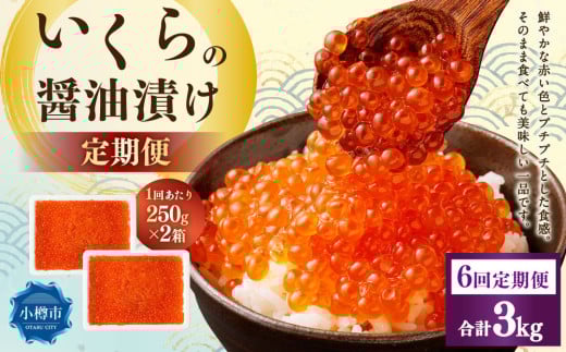 【6回定期便】いくらの醤油漬け 500g（250g×2） いくら イクラ 醤油漬け 冷凍 北海道 小樽市