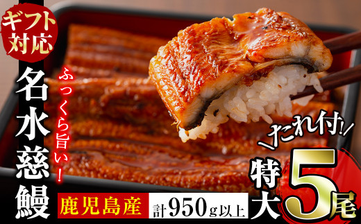 【お中元8月】鹿児島県産うなぎ蒲焼 名水慈鰻 特大5尾(1尾190g以上)＜計950g以上＞ c5-037-cg8