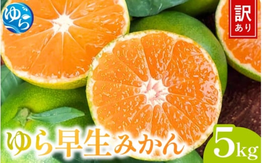 [先行予約]＼訳あり/ ゆら早生みかん 5kg [2025年10月中旬〜順次発送予定]/ みかん ミカン 和歌山県 柑橘 早生 甘い 蜜柑 フルーツ 果物 くだもの 食品 産地直送 由良町 ご家庭用 ゆら早生 早生みかん [kwgc001]