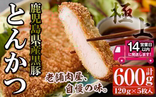 ＜14営業日以内発送！＞鹿児島県産 黒豚ロースとんかつセット(120g×5枚・計600g) 国産 黒豚 豚肉【佐多精肉店】A25-v01 393500 - 鹿児島県曽於市