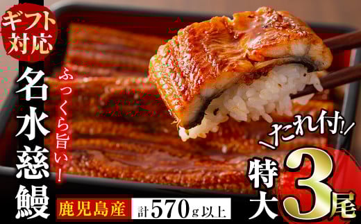 【ギフト対応】鹿児島県産うなぎ蒲焼 名水慈鰻 特大3尾(1尾190g以上)＜計570g以上＞ うなぎ 鰻 ウナギ 3尾 国産 蒲焼 かばやき 冷凍 真空 真空パック 無頭 うな重 ひつまぶし タレ 山椒 b1-024