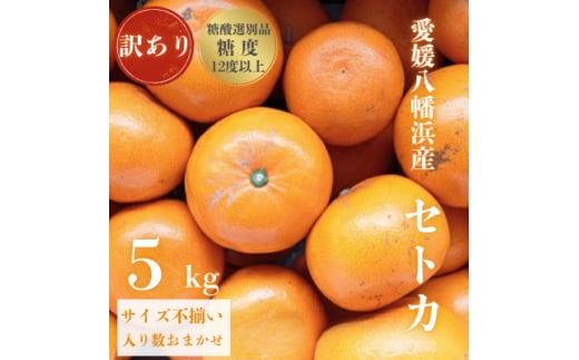 ＜みかんの大トロ＞糖度12.0以上酸1.4以下 糖酸選別品 訳あり 愛媛セトカ5kg＜D20-74＞【1620328】 2107190 - 愛媛県八幡浜市