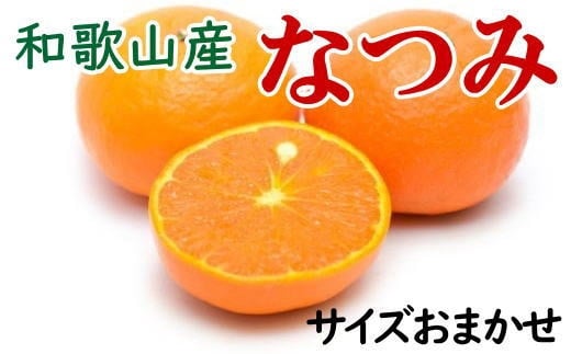 【希少柑橘】和歌山県産なつみ約5kg（S～2Lサイズおまかせ）【tecj1021】 2113279 - 和歌山県紀美野町
