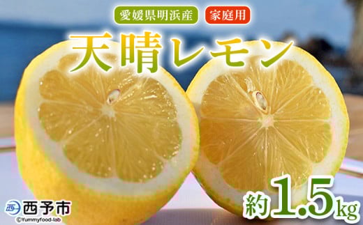 [天晴レモン ご家庭用 約1.5kg] フルーツ 果物 くだもの レモン れもん 檸檬 柑橘 訳あり わけあり ワケアリ 自宅用 料理 国産 国産レモン 愛媛県産 特産品 株式会社笑丸 愛媛県 西予市[常温]