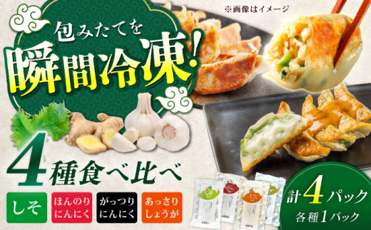 餃子屋ヒロの全種類食べ比べセット【餃子屋ヒロ】開成町 餃子 点心 惣菜 冷凍 [BDAS007]