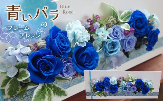 *青いバラのフレームアレンジ | 雑貨 日用品 インテリア ギフト 花 苗木 プリザーブドフラワー フレームアレンジ ローズ ミニバラ アジサイ ミニカーネーション ピットスポラム スカビオサ 信州 松川村 誕生日 記念日 結婚祝い 725620 - 長野県松川村