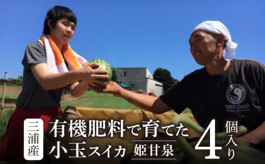 有機肥料で育てた小玉スイカ[姫甘泉](4個入り)