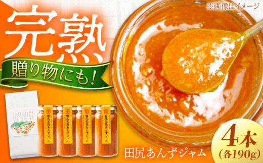 【お中元ギフト対象】ジャム 田尻完熟あんずジャム 4本セット ジャム 果物 あんず パン 甘い 菓子 朝ごはん 広島県福山市/有限会社勉強堂 [BAFL002] 404824 - 広島県福山市