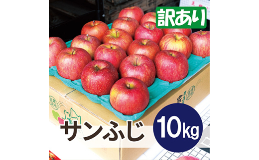 ＜26年5月出荷予定＞平均糖度13度以上! サンふじ 約10kg 訳あり CA貯蔵 クール便【1612839】 2078318 - 青森県青森市