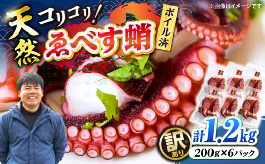 【訳あり】 【ボイル済みの天然タコ！】 ゑべす蛸 計1.2kg（約200g×6）＜大瀬戸町漁協＞ [CAR010]
