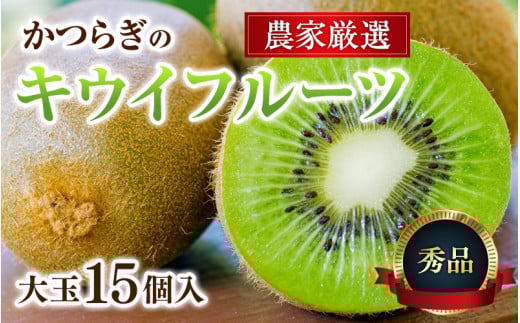 [先行予約] 先行予約!和歌山県産 秀品 キウイフルーツ 大玉15個入 こだわり農家厳選 [2025年12月初旬頃から2026年1月中旬頃順次発送]/ キウイ キウイフルーツ 果物 フルーツ おやつ[kgr021]