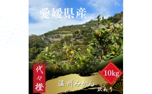 代々橙みかん10kg(家庭用・サイズ混合)＜D83-5＞【1543880】 1467980 - 愛媛県八幡浜市