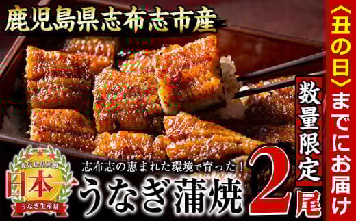 【丑の日までに配送】【数量限定】うなぎの大楠＜小＞2尾セット計220g以上(110g以上×2) a1-071-us