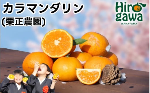 タカじいの カラマンダリン 家庭用 5kg サイズおまかせ M～2L / カラ カラオレンジ カラみかん 訳あり 和歌山 有田 柑橘 ※4月中旬〜5月に順次発送 【krs015-c-5A】 1223180 - 和歌山県広川町