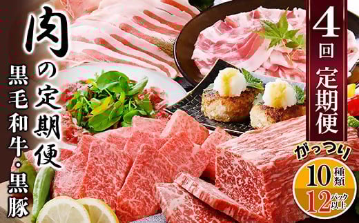 定期便4回配送　肉の定期便 EE-6016_ 定期便 肉 黒毛和牛 黒豚 ロース バラ ハンバーグ ソーセージ 人気 おすすめ 送料無料 贈答 ギフト 鹿児島県 枕崎 【1491491】 1527744 - 鹿児島県枕崎市