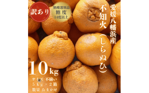 ＜糖度14.0以上酸1.4以下＞糖酸選別品 愛媛産 訳あり不知火(しらぬひ)10kg＜F20-63＞【1620233】