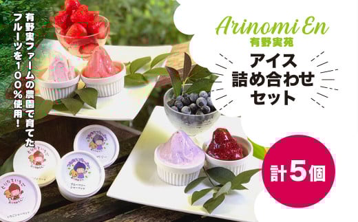 農園で育てたフルーツを100％使用! 有野実ファームのアイス詰め合わせセット 【 ふるさと納税 人気 おすすめ ランキング アイス シャーベット フルーツ 果物 果汁 100％ 千葉県山武市 送料無料 】SMN008