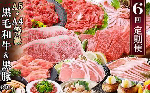 定期便(6回)A5・A4等級黒毛和牛・黒豚etc FF-0061_ 定期便 牛肉 肉 お肉 サーロイン ステーキ 焼肉 ハンバーグ 切り落とし 豚肉 生姜焼き ロース バラ しゃぶしゃぶ ホルモン ソーセージ 生ハム 【1166779】 1526672 - 鹿児島県枕崎市