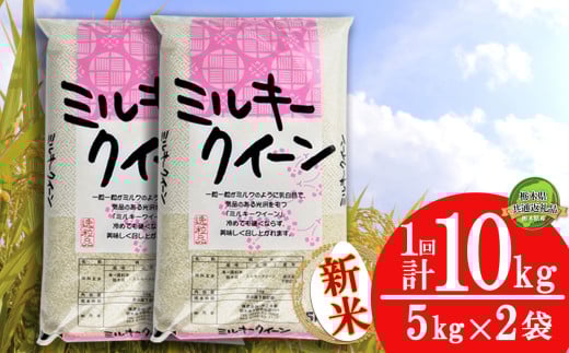 【栃木県共通返礼品】【先行予約】ミルキークイーン 10kg（5kg×2袋） | 米 こめ コメ kome 白米 精米 お米 みるきー みるきーくいーん ﾐﾙｷｰｸｲｰﾝ Milky queen ミルキークウィーン 新米 栃木米 令和7年度米 令和7年度 2025年度米 2025年度 ブランド米 栃木県 特産品 送料無料 栃木県 下野市 しもつけ市