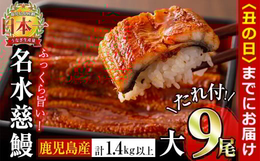 【丑の日までに配送】鹿児島県産うなぎ蒲焼 名水慈鰻 大9尾(1尾160g以上)<計1.4kg以上> e8-001-us 2113687 - 鹿児島県志布志市