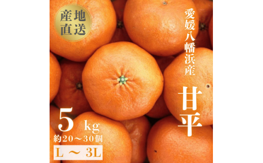 ＜愛媛が誇る 高級みかん 希少品種＞甘平 (かんぺい) 5kg＜H20-66＞【1620336】