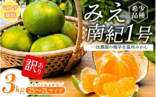 【先行予約】みえ南紀1号  一法農園の 極早生温州みかん 2S-2L サイズ混合 3kg ご家庭用 ちょこっと訳あり マルチ栽培【2025年9月中旬～10月中旬までに順次発送】 / みかん 蜜柑 極早生 数量限定 温州 ミカン フルーツ 果物 くだもの