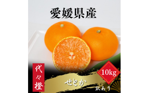 ＜最高の旨みと香りが詰まった＞代々橙せとか＜訳あり＞10kg＜H83-38＞【1623737】 2114434 - 愛媛県八幡浜市