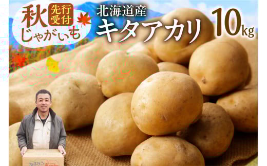 先行受付！ホクホク！しっとりなめらか！ 北海道産 キタアカリ いも じゃがいも きたあかり イモ 約10kg じゃがいも いも 芋 産地直送 秋_S041-0008
