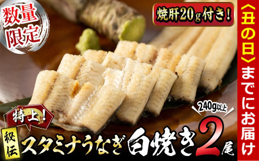 [丑の日までに配送][数量限定]鹿児島県産!秘伝の特上スタミナうなぎ白焼き[2尾・計240g以上]焼肝20g付き! a4-063-us