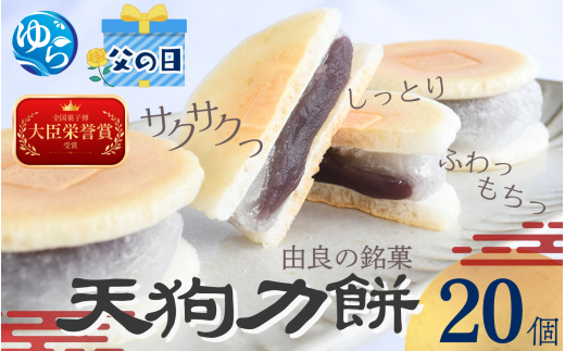 【父の日】老舗の味 天狗力餅20個入　和菓子　力もち　こし餡　職人の手作り / 銘菓 和菓子 こしあん 由良町 お取り寄せ お土産 ギフト 和歌山県【knkd001-pp】