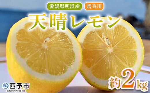 [天晴レモン 贈答用 約2kg] フルーツ 果物 くだもの レモン れもん 檸檬 柑橘 プレゼント 贈り物 お返し お礼 ギフト アレンジ 料理 国産 国産レモン 愛媛県産 特産品 株式会社笑丸 愛媛県 西予市[常温]