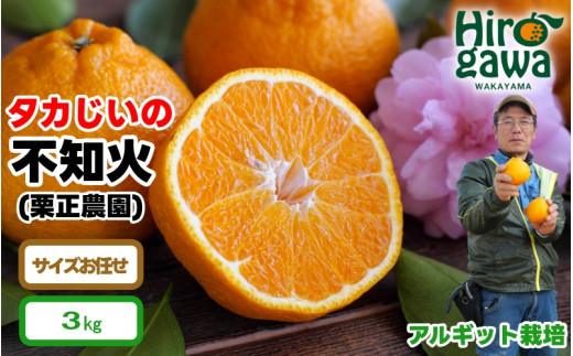 タカじいの 不知火 ( しらぬい ） 3kg / デコポン 甘い 和歌山 有田 柑橘 ※3月上旬〜3月下旬に順次発送【krs010-r-3】 1983915 - 和歌山県広川町