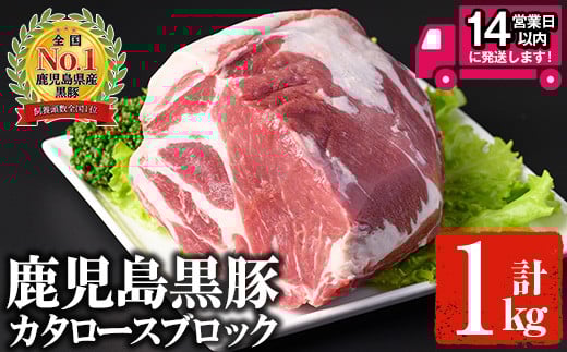＜14営業日以内発送！＞鹿児島黒豚 カタロースブロック(1kg) 国産 鹿児島県産 豚肉【佐多精肉店】B79-v02 395827 - 鹿児島県曽於市