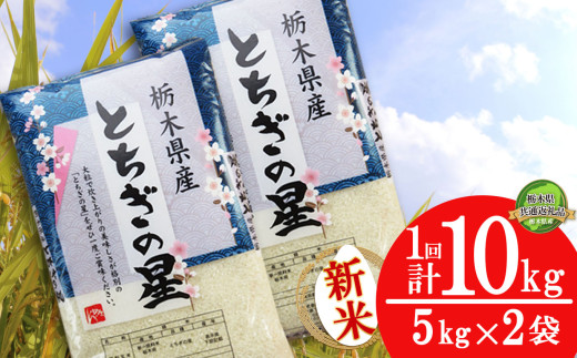 【栃木県共通返礼品】【先行予約】とちぎの星 10kg（5kg×2袋） | 米 こめ コメ kome 白米 精米 お米 とちぎのほし トチギノホシ ﾄﾁｷﾞﾉﾎｼ 粘り 弾力 冷めても美味しい 丼もの カレー 新米 栃木米 令和7年度米 令和7年度 2025年度米 2025年度 ブランド米 栃木県 特産品 送料無料 栃木県 下野市 しもつけ市
