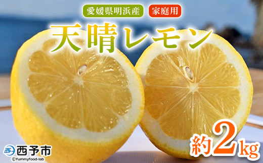 ＜天晴レモン ご家庭用 約2kg＞ フルーツ 果物 くだもの レモン れもん 檸檬 柑橘 訳あり わけあり ワケアリ 自宅用 料理 国産 国産レモン 愛媛県産 特産品 株式会社笑丸 愛媛県 西予市【常温】 2116579 - 愛媛県西予市