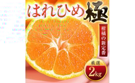＜太陽をたっぷり浴びた＞はれひめ＜極＞2kg＜A49-96＞【1623957】