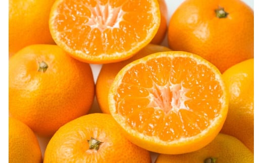【先行予約】Saito Orange Farmの南柑20号10kg ※離島への配送不可（2025年12月中下旬頃より順次発送） 【 ふるさと納税 人気 おすすめ ランキング みかん ミカン 蜜柑 柑橘 南果20号 フルーツ 果物 産地直送 Saito Orange Farm 愛媛県産 愛媛県 伊方町 送料無料 】 IKTAQ019