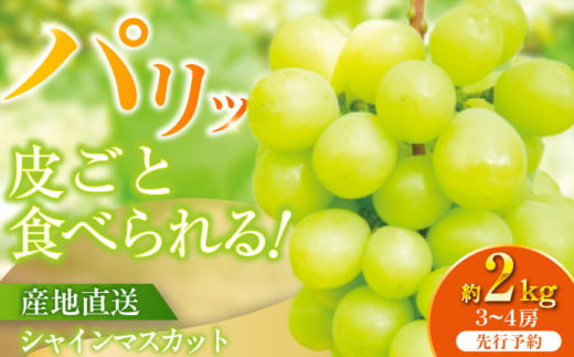 [伊万里産]山和農園のシャインマスカット2kg(3〜4房)